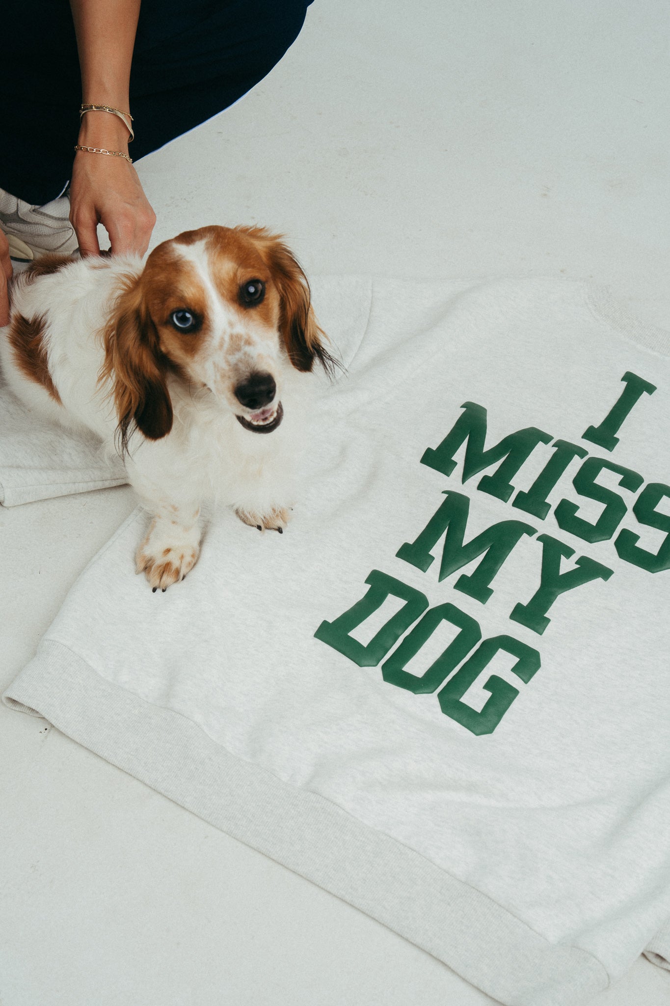 DOG LOVER BUNDLE- GREY