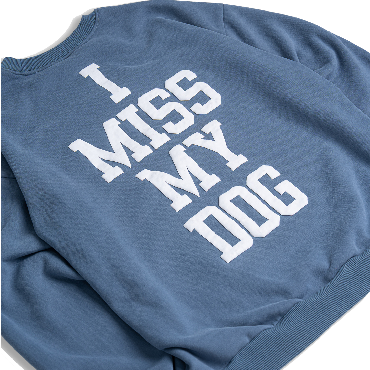 DOG LOVER OVERSIZED CREWNECK- BLUE